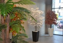 עיצוב חללי מגורים משותפים – לחיים ירוקים וצבעוניים יותר