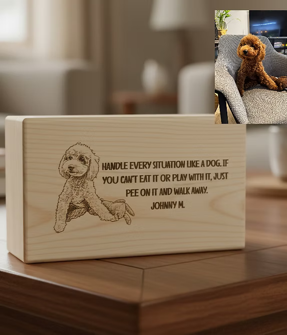 6ad35f_00df791b9f684c81bbcde68a4753add1~mv2